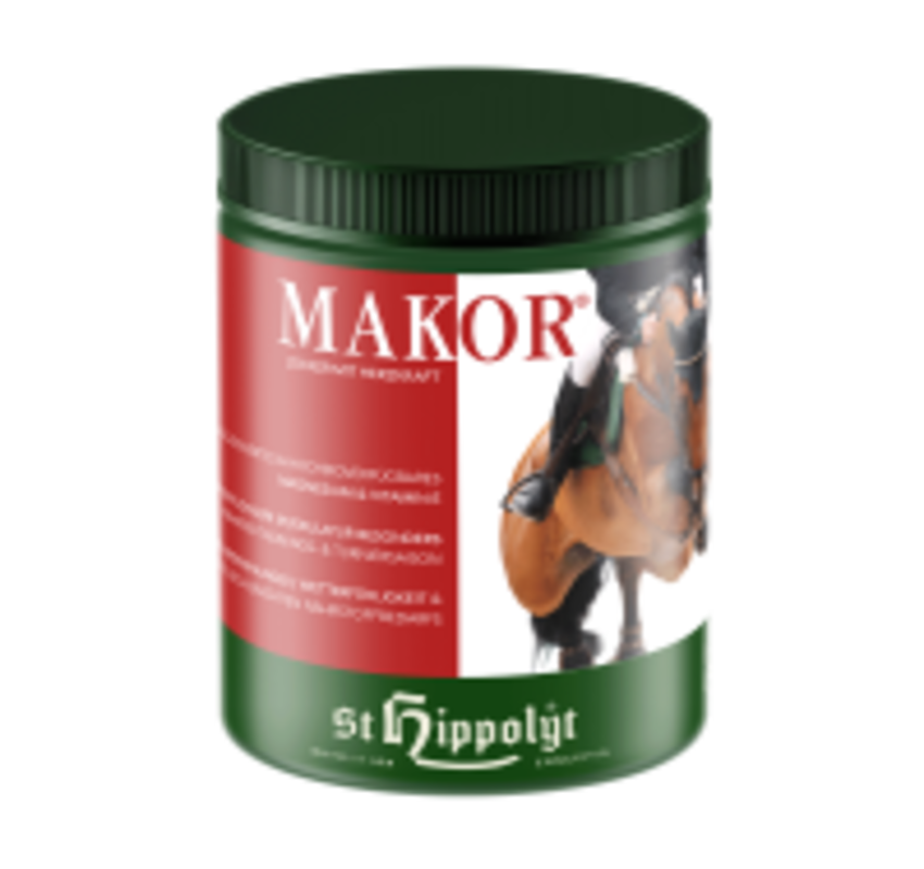 Makor