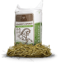 big_special-grass-mix