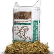 leaders-energy-300-300x300 (1)